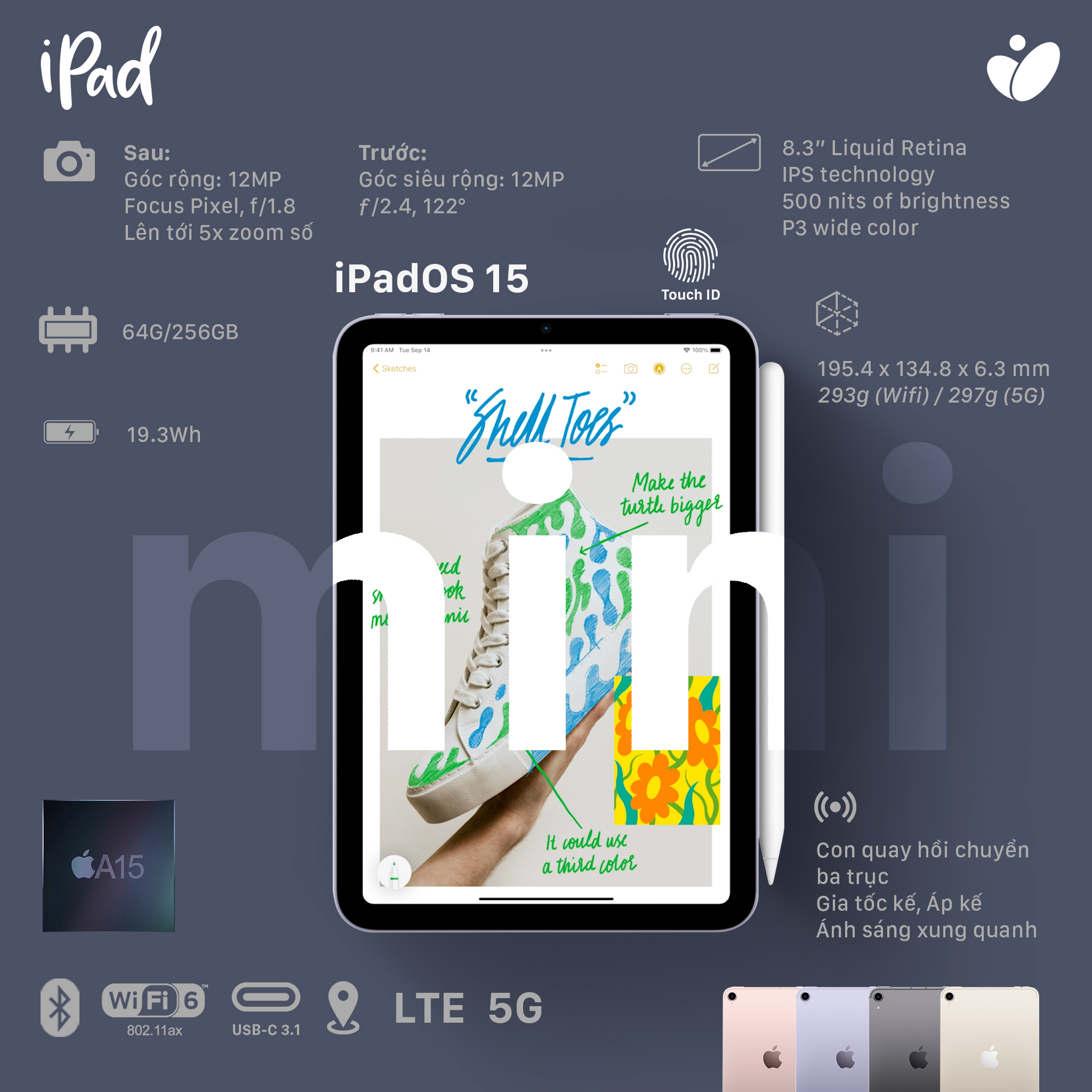 iPad mini.jpg